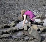 Beachcombing