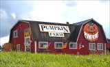 Pumpkins, Corn Maze and Fall Fun<br>(2nd image below)
