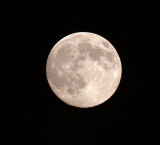 8/9/14  THE MOON IS VERY CLOSE!
