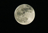 BEAUTIFUL MOON