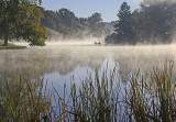 HUDSON SPRINGS PARK IN THE EARLY MORNING