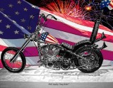 4th of July 2016 Easy Rider