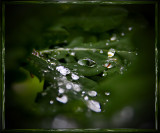 Water and drops