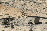 A nice jumper that I found in the Egyptian desert.