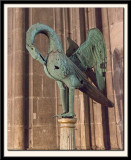 The Bourges Pelican