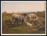 Sheep and a Lamb