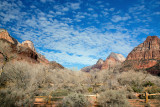 Zion NP 20