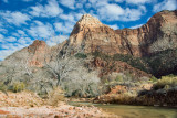 Zion NP 23