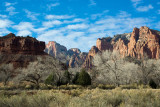 Zion NP 28