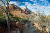 Zion NP 29