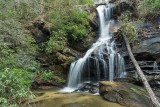 waterfall on Goldmine Branch 1