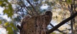 IMG_1329_edited-1.jpg