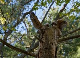 IMG_1374_edited-1.jpg