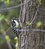 IMG_1470_edited-1.jpg