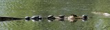 IMG_2878_edited-1.jpg