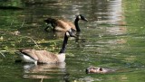 IMG_2889_edited-1.jpg
