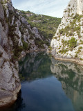 IMG_8417.jpg