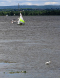 IMG_6364.jpg