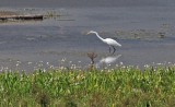 IMG_6569.jpg