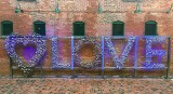 IMG_3624.jpg