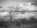 20130513_Alberta BC_0156.jpg