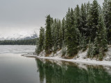 20130514_Maligne Lake_0170.jpg