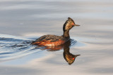 20130605_Frank Lake_0741.jpg