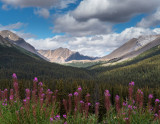 20130816_Tonquin Valley_0405.jpg