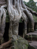 20130926_Angkor Wat_0331.jpg
