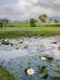 20130929_Laos_0319.jpg