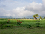 20130929_Laos_0324.jpg