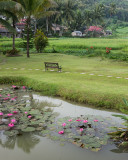 20130929_Laos_0332.jpg