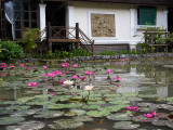 20130929_Laos_0355.jpg