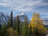 20131018_Jasper_0057.jpg