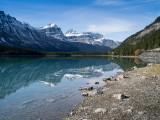 20131018_Jasper_0097.jpg