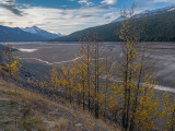 20131019_Jasper_0162.jpg