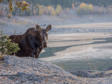 20131019_Jasper_0187.jpg