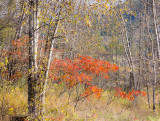 20131020_Jasper_0279.jpg