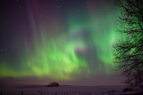 20140219_Northern Light_0134.jpg