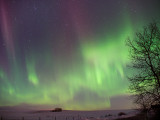 20140220_Northern Light_0032.jpg