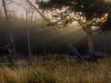 20140925_Yellowstone_0389_90_91_92_93.jpg
