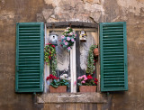 20150208_Siena_0497.jpg