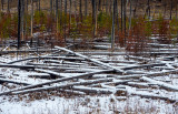 20151106_Banff_0242.jpg