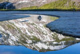 20160419_Yellowstone_0079.jpg