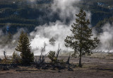 20160419_Yellowstone_0161.jpg