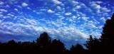 Blue Sky White Cloud 