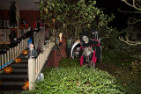 halloween-2014-8304.jpg