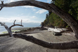 Whidbey-1003538.jpg