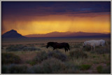 Thunderstorm in the desert.