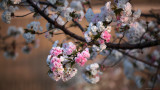 IMG_3401.jpg
